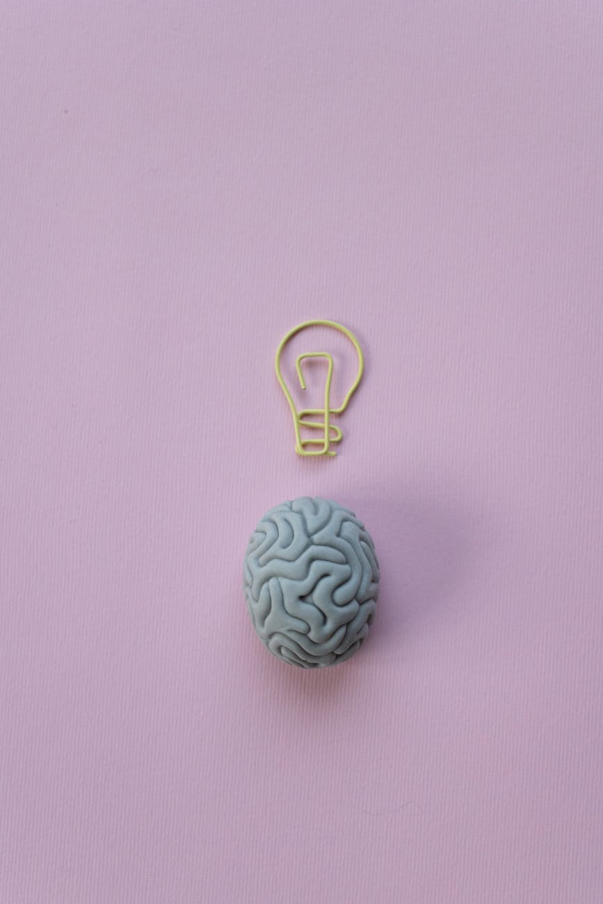 Understanding the Brain Behind Every Learner